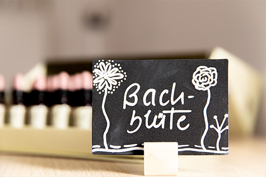 Bachblütentherapie